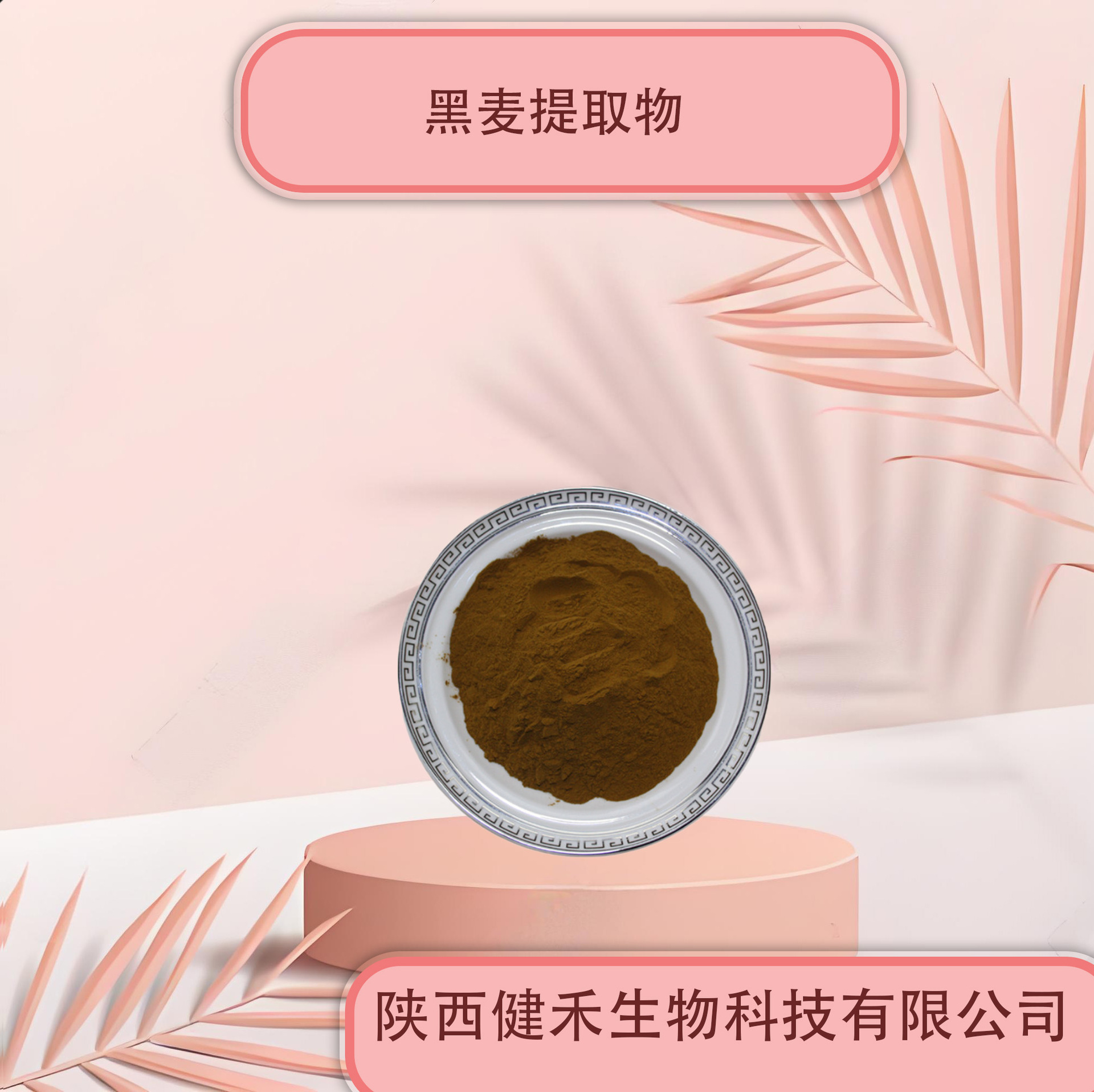 黑麦提取物 低聚肽水溶性 食品原料黑麦提取物