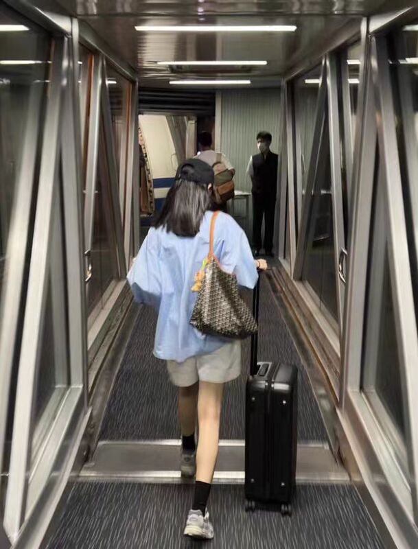 高バージョン新型hobo腋窩バッグファスナー大容量シングル肩手提げ犬歯tote子母レジ袋女性バッグ|undefined