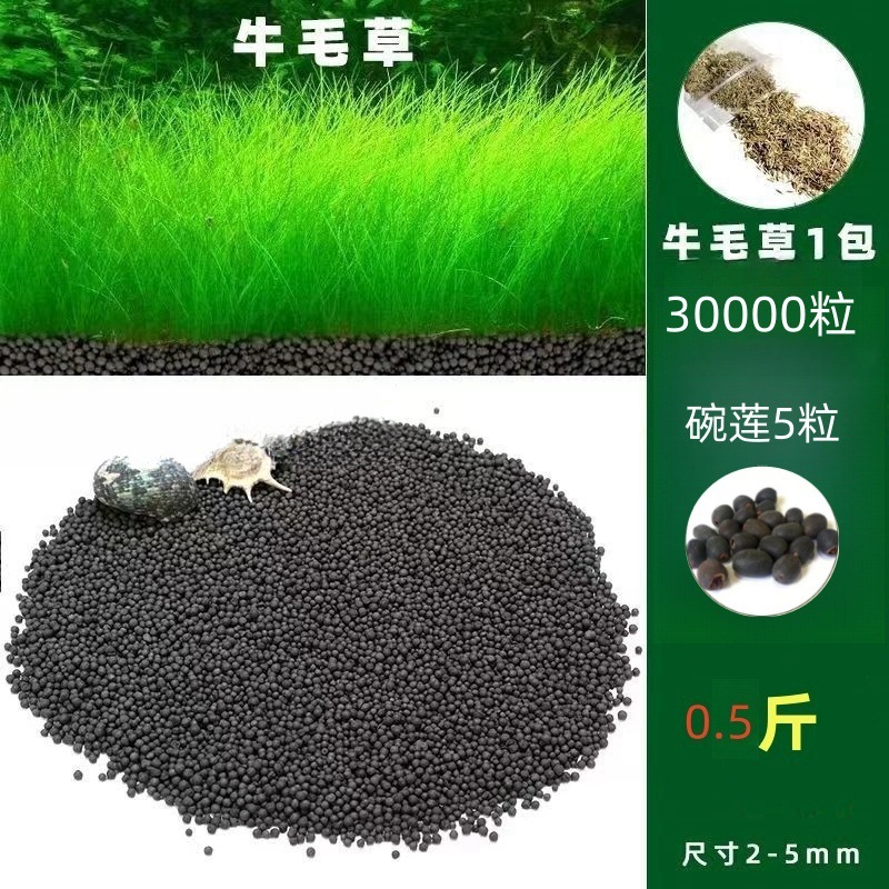 수초 진흙 0.25kg - 무료 소털풀 30,000캡슐 + 그릇연꽃 5캡슐