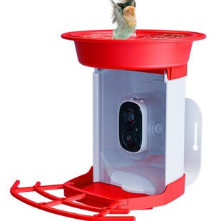 Bird Feeder 2K Smart Camera Ai Recognizes Tens of Thousands of Bird Species