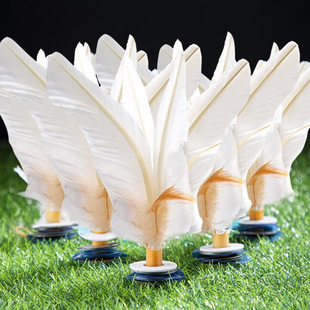 ��Ӵ��릳��˽���W����ِţ����Zë���������Ӱ��Zë�