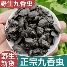 ��ƷҰ��������»���ҩ��500g�������ϴ�ƨ��ƨ�ͳ�����ӳ�ĥ��