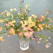 ���Qins�L�L֦С����СҰ�����滨�b��ľƵ걳�����üٻ��[��