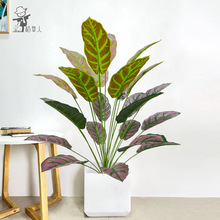 北欧INS风仿真绿植犀牛叶假植物仿真海芋叶家居落地摆放盆栽装饰