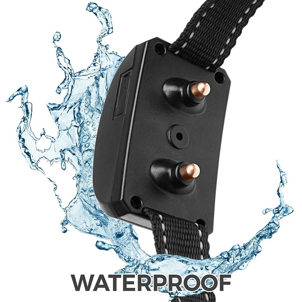 Smart Induction Collar Image 3