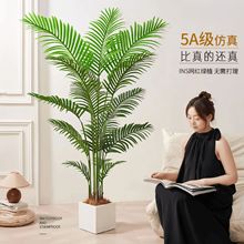 ����Gֲ�߼���ɢβ��ֲ�����ԼҾӿ͏d�b[������҃ȼ٘�Gֲ