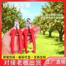 ���P䓸C��ժ���������O�����Ӽ����Ӳ�ժ���Ӽ�ˮ��������֦����