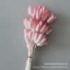 [渐变15【60支左右】]