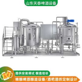 新型酒吧酒店自酿啤酒设备 精酿鲜啤酒设备 批产200升300升500升