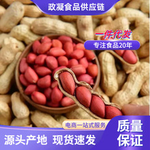 �|���tƤ������������؛�������������r��������t�»���5�����l