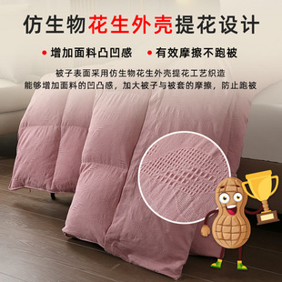 New Washed Cotton Jacquard Removable Quilt Head Waltz Goose Quilt Core Bedding for Autumn and Winter