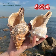 ��Ȼ��ؐ�����ݔ[���������~���쾰�Ҿ��b�Ʒ��ͯ�Y��󺣵���