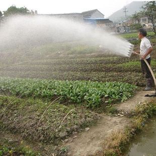 Agricultural Sprinkler Watering Tool for Irrigation, Watering Pump, Atomizing Sprinkler for Watering Vegetable Gardens, Gardening, and Garden Watering Water Gun