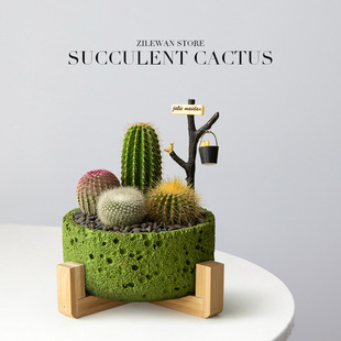 �����ƶ���M������ֲ���k��������������Gֲ����Y������