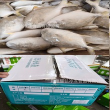 ���������K�~����ˮ20��/���׽��K�~���}�~100-500�˶�NҎ��