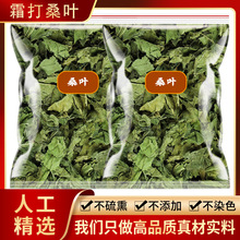 霜打干桑叶霜打过的霜降中药材霜后桑叶茶新鲜干货可磨桑叶粉泡水