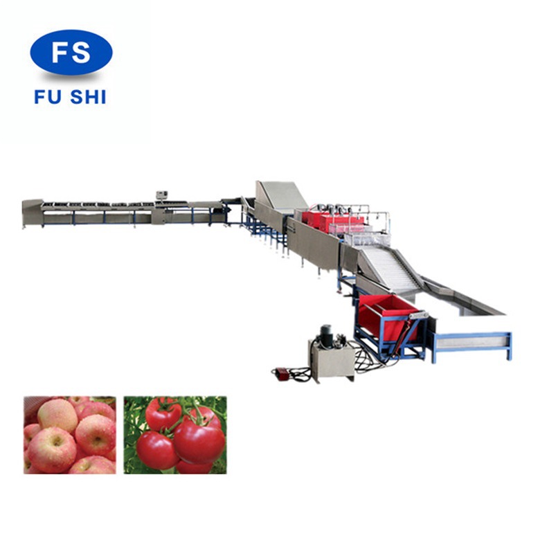 FS-QXDL型果品蔬菜清洗打蜡分选机ce认证【源头厂家】