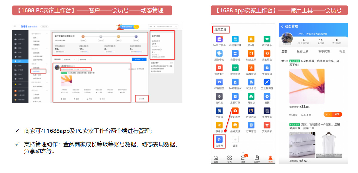 会员号全新升级！商家下游素材经营更高效