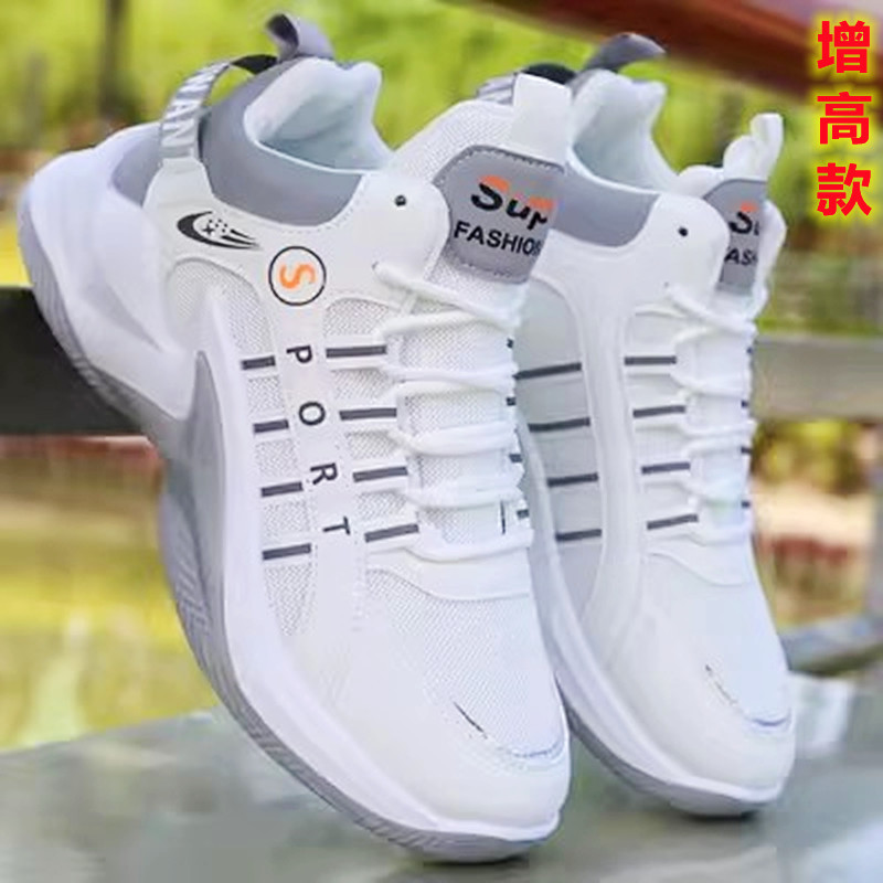 H-F7 gris (malla) aumento