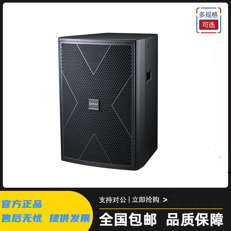 DAM SR-10 SR-12专业舞台音响高端会所KTV大功率扬声器正品