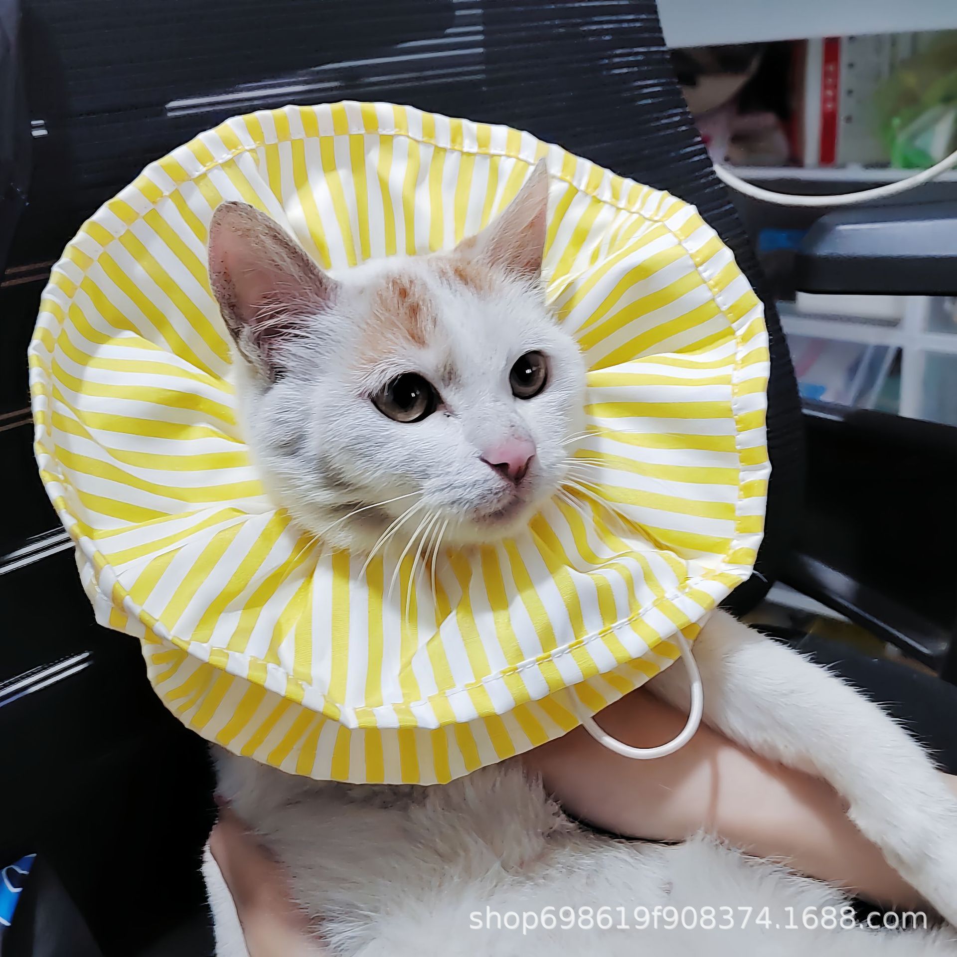 Nuevo transfronterizo japonés y coreano suministros para mascotas Elizabeth anillo collar esterilización repelente de insectos anti-lamer gato perro bufanda