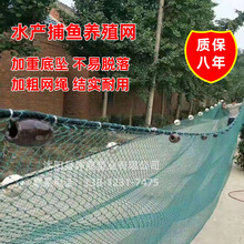 �S��ֱ�����lPE����ϩ�O�W���W�W�����پW����W�ϾW���󃞻�