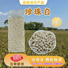 2026金威玛脱皮白芸豆去皮日本白豆开边原料南海源头工厂豆子