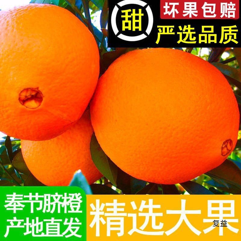 重庆奉节脐橙产地直发新鲜当赣季南水果整箱纽荷尔橙子10斤