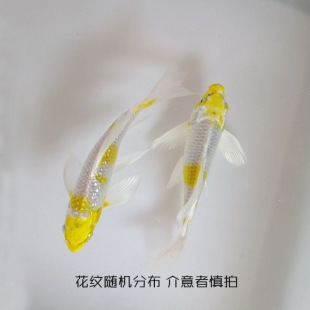 ������\����ˮ�^�p�~���B�׻ˮ���P��β���N���~��ؔ�~�~��