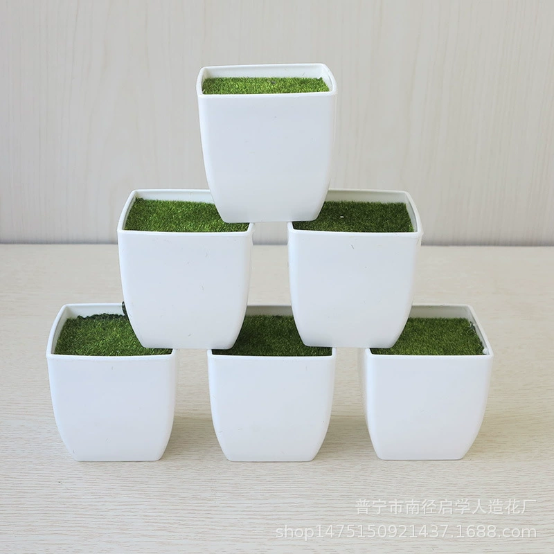 Имитация фарфорового цветочного горшка Amazon e-commerce утолщенный устойчивый к падению простой бытовой Настольный пластиковый зеленый Растительный мясистый горшок оптом