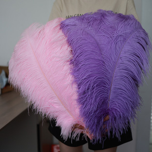 �S���r�Bë50-55CM ��c·�������r�B��ë�[���W�t����̨������ë
