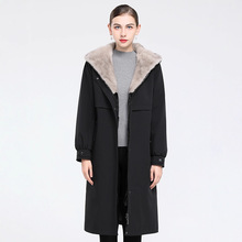 ɿ˷Ůˮëđɲж2025¿LƤƤ˷