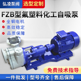 FZB������������ �������������� �����|������