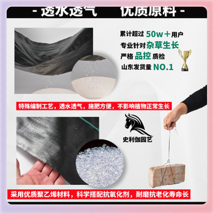 L5HM�r�÷��ݲ��ֲݳ��ݲ��r�õز������w�ݲ��ڲݵز��ڵ�Ĥ���