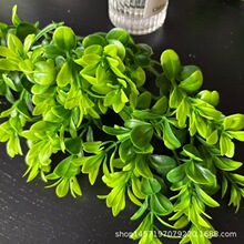 ���R�d����Gֲ�ȼ����~���Rˮ����� �ֹ�diy�廨�zӰ�����b�Ʒ