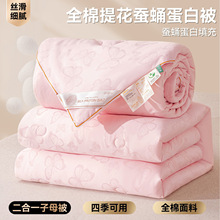 炫耀 水星高端蚕丝被芯100桑蚕丝春秋被子母被冬被婚庆礼品批发