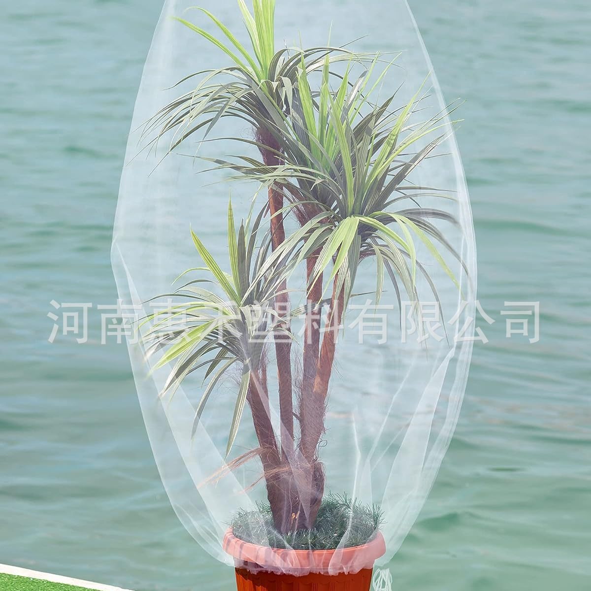 厂家批发跨境花园蔬菜植物园艺保温大棚防虫网罩带抽绳