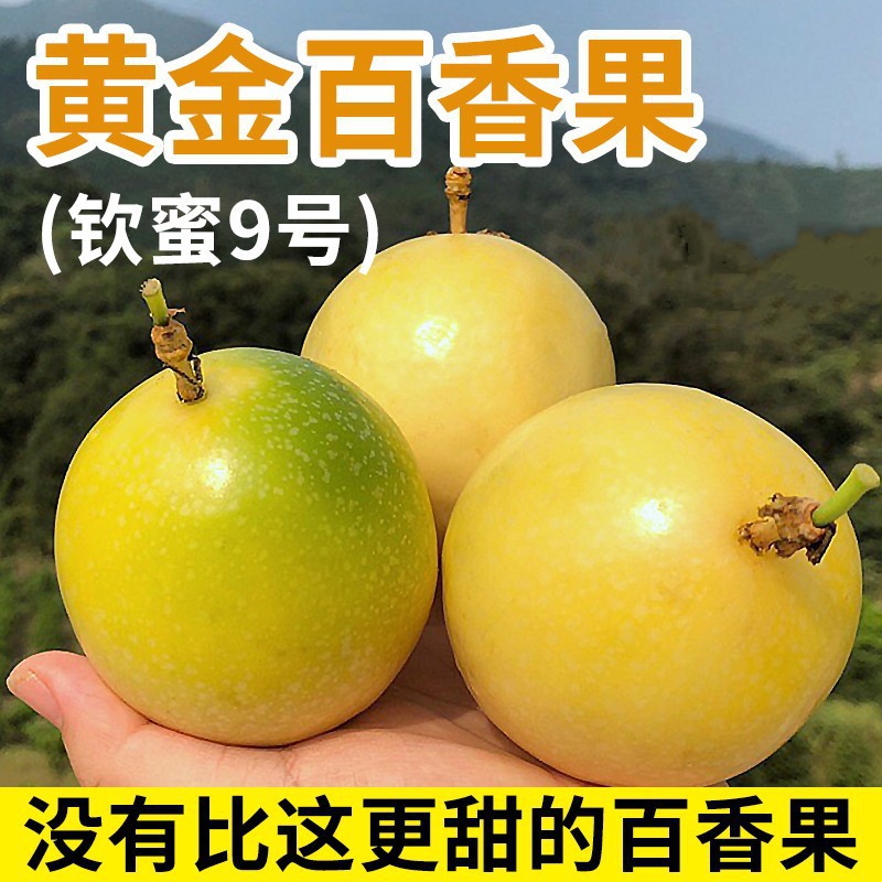 [Guangxi Passion Fruit] dropshipping fresh fruit, connecting e-commerce live streaming, shipped directly from origin