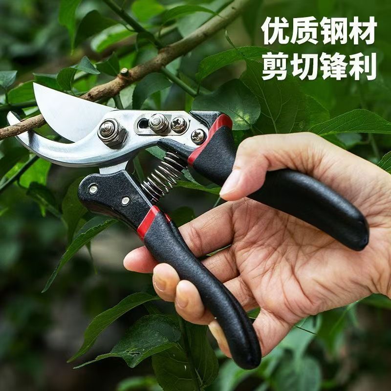 果树剪子强力园艺剪修枝神器花卉摘果剪粗枝树枝专用剪子多用途