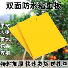 �p��ճ�x�S���T�x������Ә�Ϲ���ωᘷ�ճ�nω�N���E�R�@��