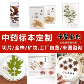 标本;工艺品加工;树脂工艺品