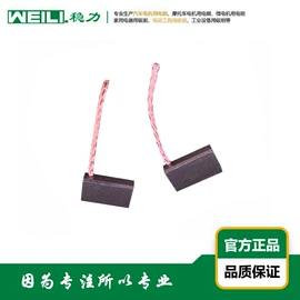 碳刷、电刷;电动机配件