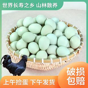 �r��G�����u����ɽɢ�B������r�F�l�ЋD���Ӟ��u����������