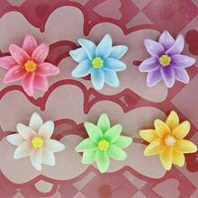 ˮ�ɻ��ٺϻ�����ɫ��껨õ�廨ƽ��ɽ�軨��֬��DIY�Ʒ���