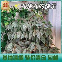 �ﺣ�ĺ�����~��󼯺ϻ�����}��ֲ�_���^�~������B�ļ�