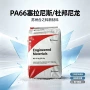增强电子70g33lgf33pa66