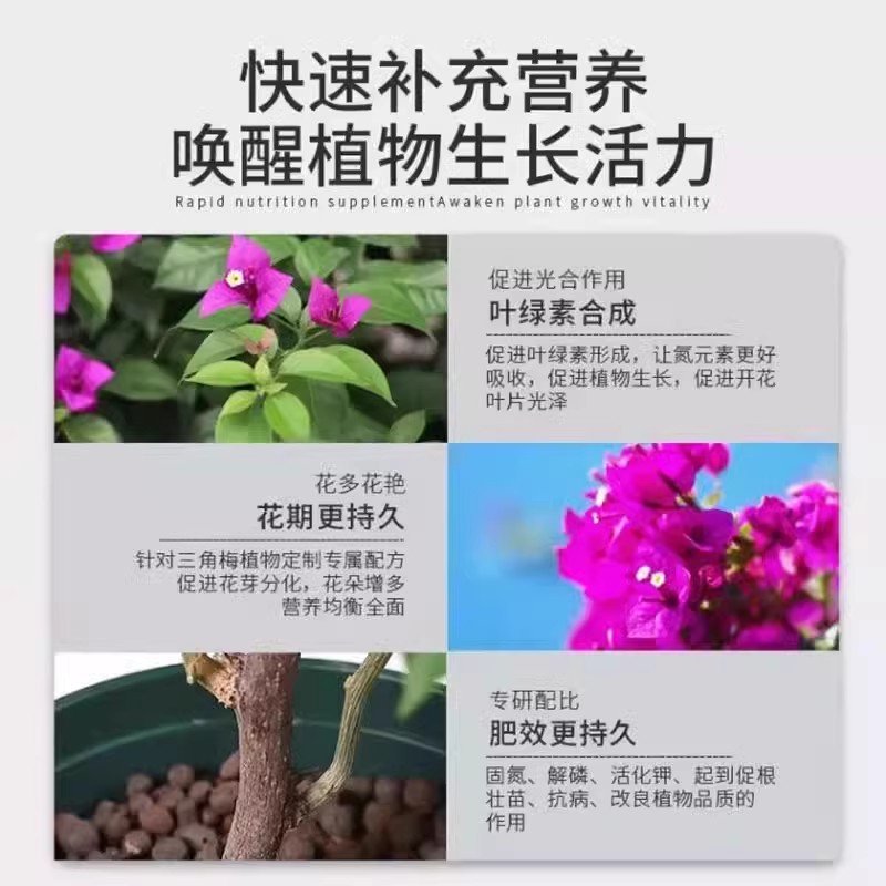 브라운스위치를 위한 특수 개화유기비료, 꽃발생촉진, 뼈분말복합비료, 꽃발생촉진, 꽃과 잎의 번영