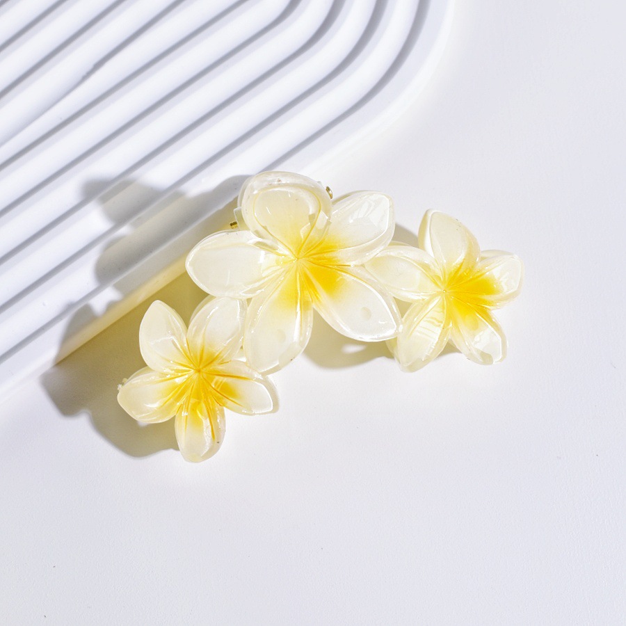 86g Weight Hair Clip, Hair Claws Hair Accessories Type 1 Piece Quantity Holiday, Daily, Selfie Occasion Plastic Material Flower, Fish, Shark, Plumeria Pattern All Seasons Season Women's Gender Cute Style Cute Women's Flower Fish Shark Plastic Hair Clip Hair Claws 19
