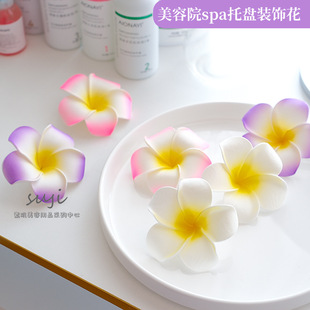 ����Ժ�B���^���������뾫�͵��ӵ��b[���бP���Ʒ�u����
