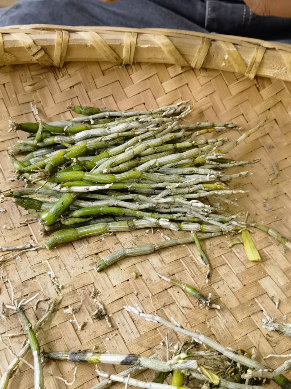 Huoshan Dendrobium Fresh Stems Mi Hu 10g+ Huoshan Shihu Freshly Picked key features